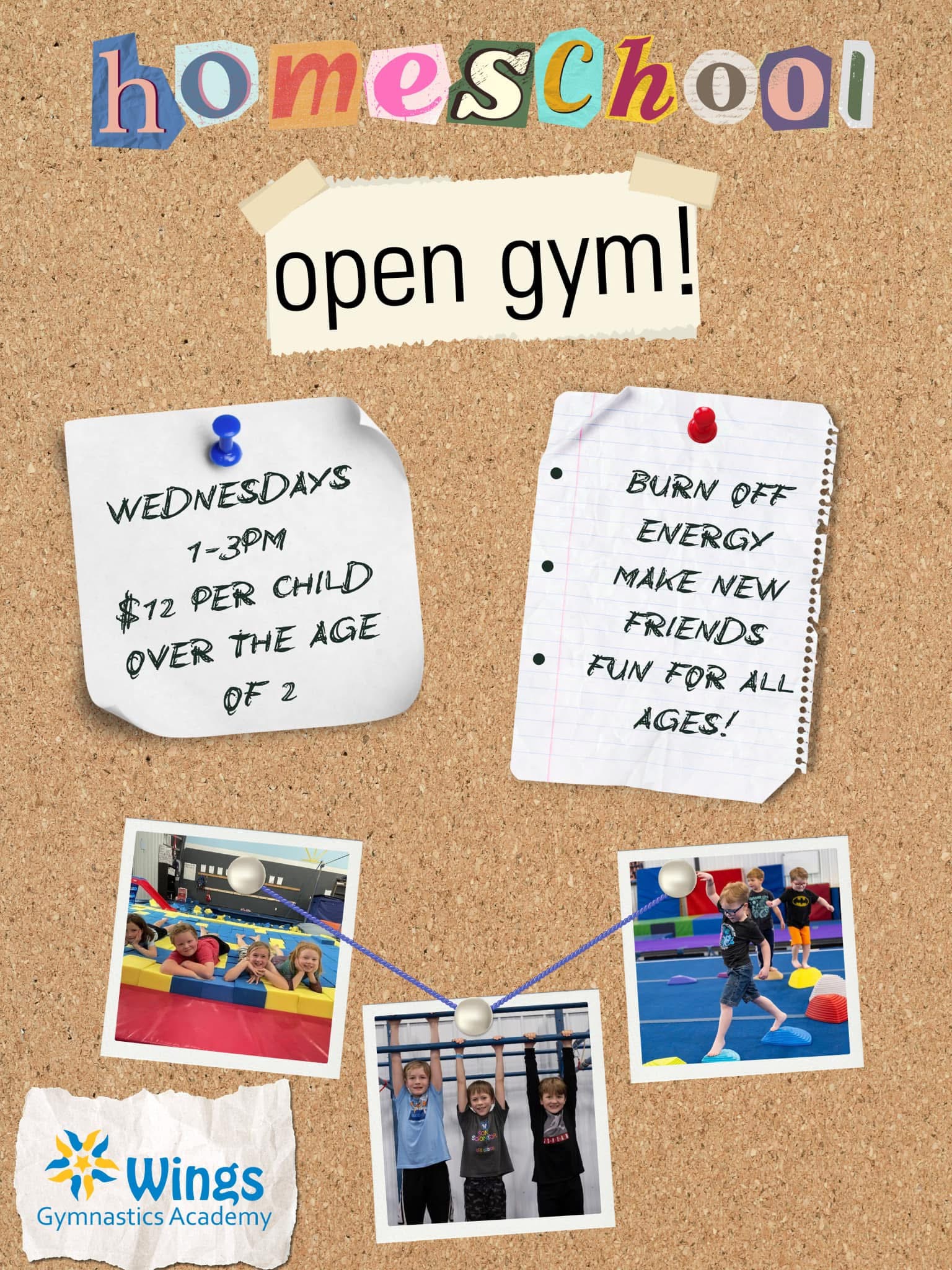 New Homeschool Open Gym on Wednesdays!